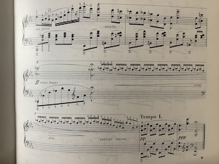 装飾音符 保谷ピアノ教室